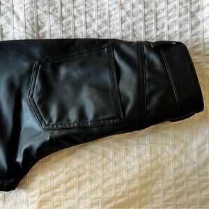 Leather Pants - Zara (Never Worn)